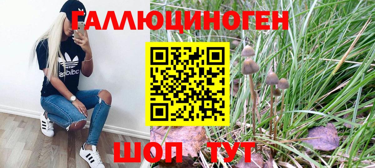 Галлюциногенные грибы MAGIC MUSHROOMS  Вход с VPN  Галлюциногенные грибы Cubensis  Великие Луки 